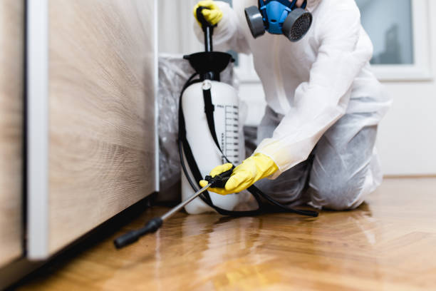 Pest Prevention Services in Volo, IL