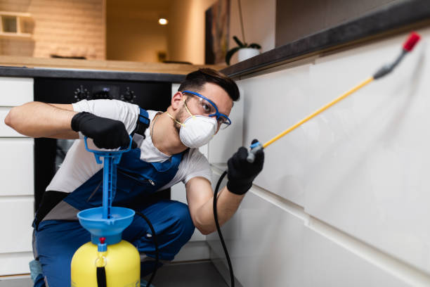 Best Affordable Pest Control Services  in Volo, IL
