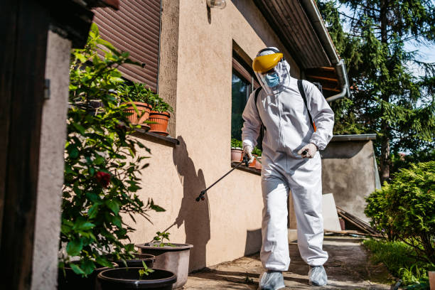 Best Commercial Pest Control Services  in Volo, IL