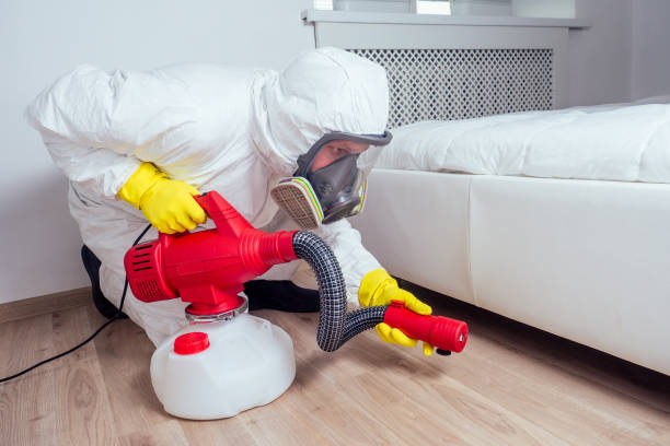 Best Wasp Removal Services  in Volo, IL